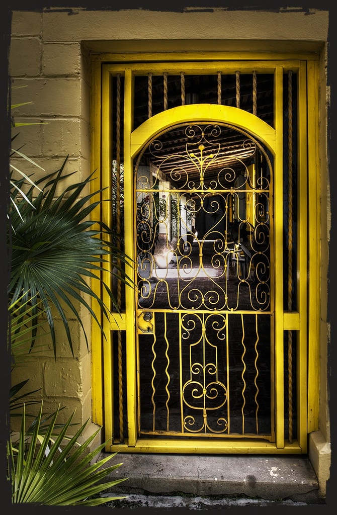 Yellow Door by gardencat