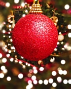 18th Dec 2013 - Bauble and Bokeh