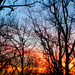 Twisted Storybook Sunrise by alophoto