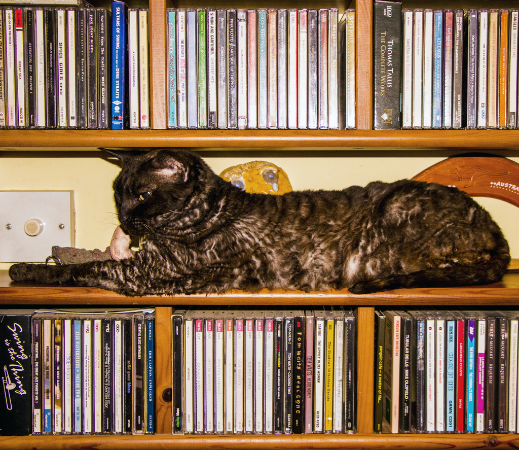 Cat-aloguing my CDs by shepherdman