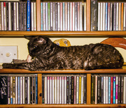 19th Dec 2013 - Cat-aloguing my CDs