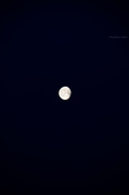 20th Dec 2013 - The Moon