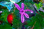 20th Dec 2013 - 5 days till Christmas