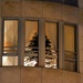 The Christmas tree by parisouailleurs