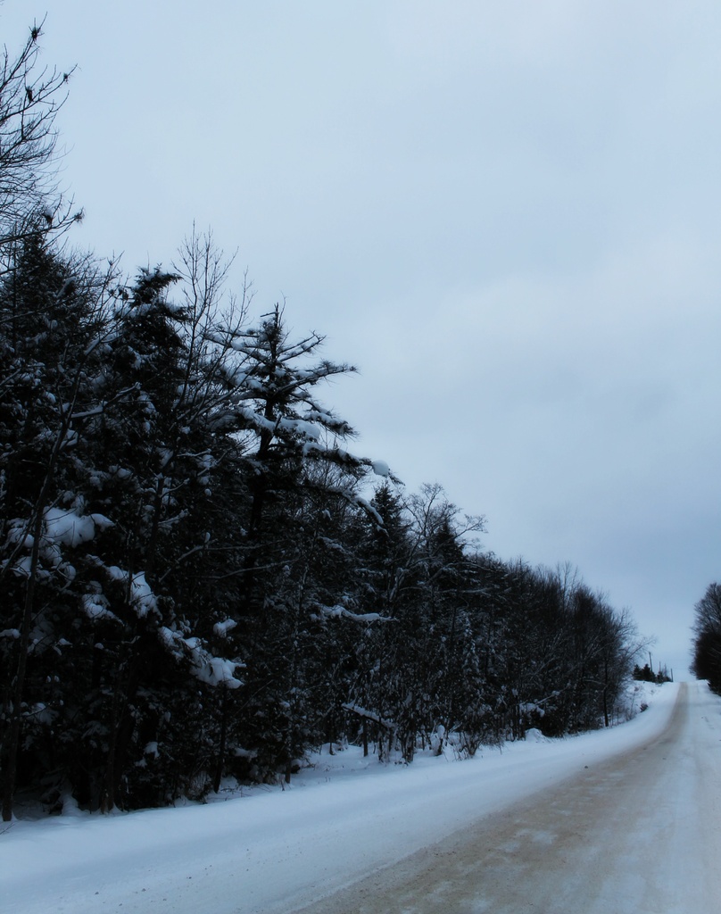 another snowy country road by edie
