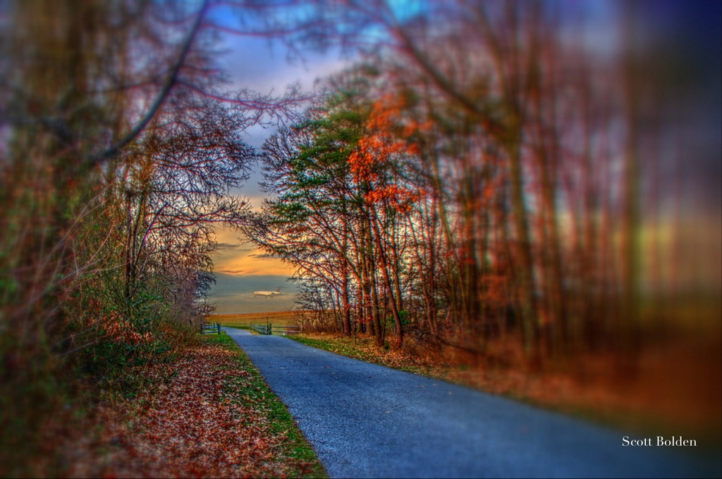 The Path Home by sbolden