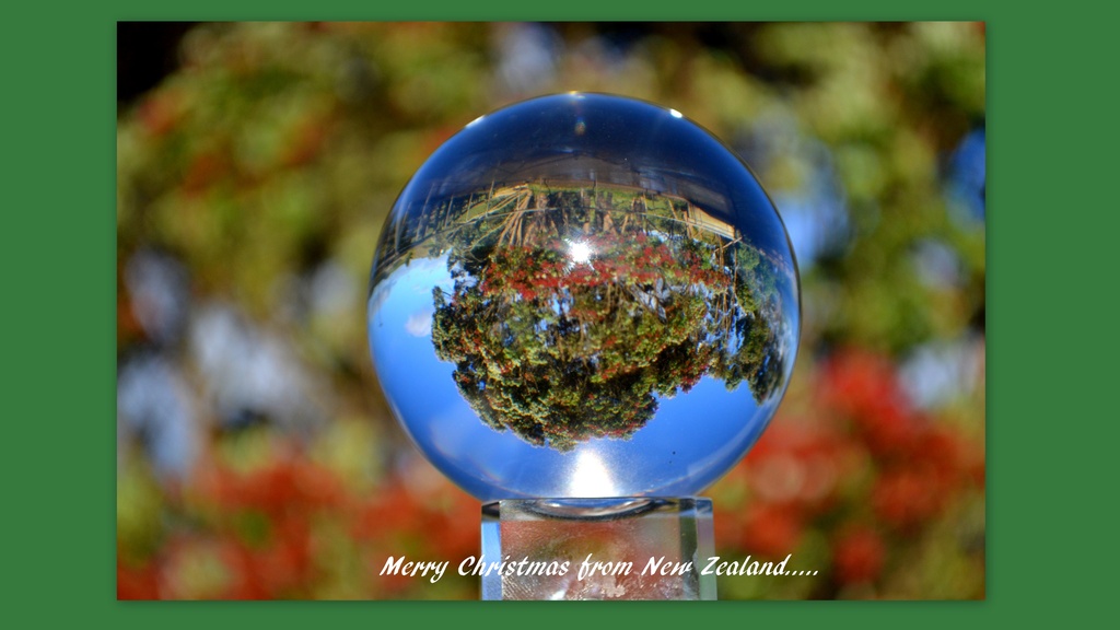 Pohutukawa...New Zealand Christmas Tree.... by julzmaioro
