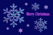 20th Dec 2013 - Christmas card