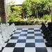 Anyone for chess? by kiwinanna