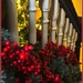 Christmas Stairs. by happypat