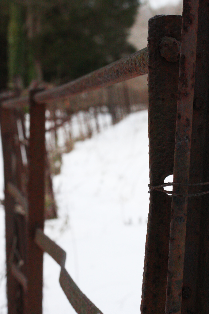 Rusty Fence by mzzhope