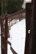 21st Dec 2013 - Rusty Fence