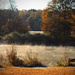 October Pond by mzzhope