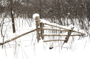 21st Dec 2013 - Snowed in fence