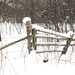 Snowed in fence by bruni
