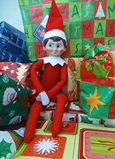 22nd Dec 2013 - Elf on the Shelf