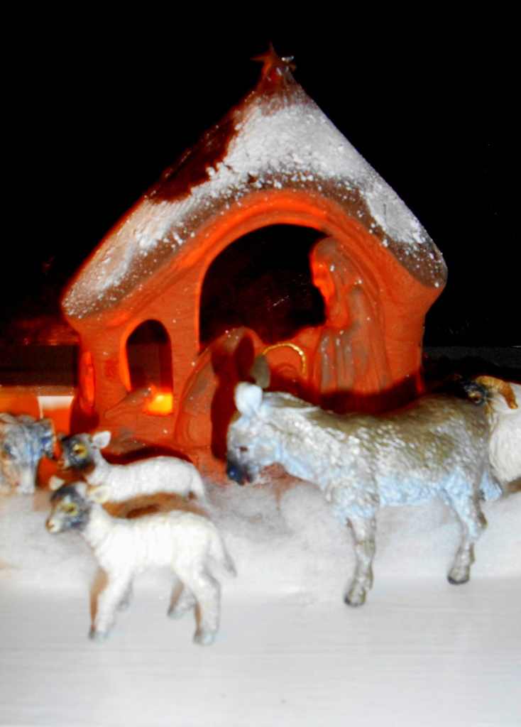 Away in a manger.... by snowy