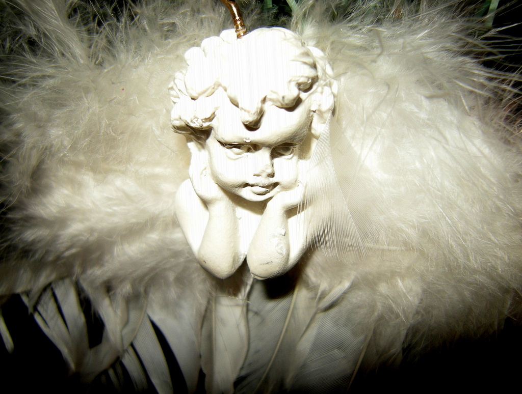 Little Angel by pyrrhula