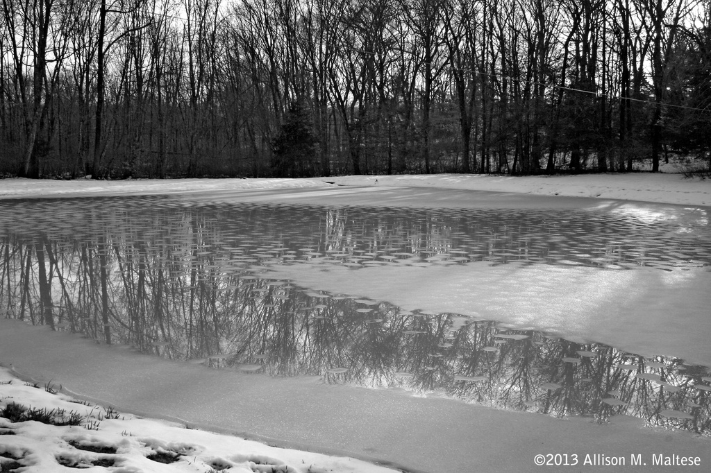 The Pond in Winter by falcon11