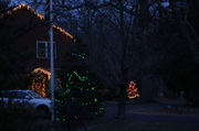 20th Dec 2013 - Christmas Lights