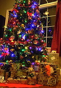 22nd Dec 2013 - Camo under the tree!