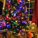 Camo under the tree! by homeschoolmom