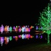 Vitruvian Park Lights by lynne5477