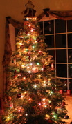 21st Dec 2013 - Tree with Starbursts