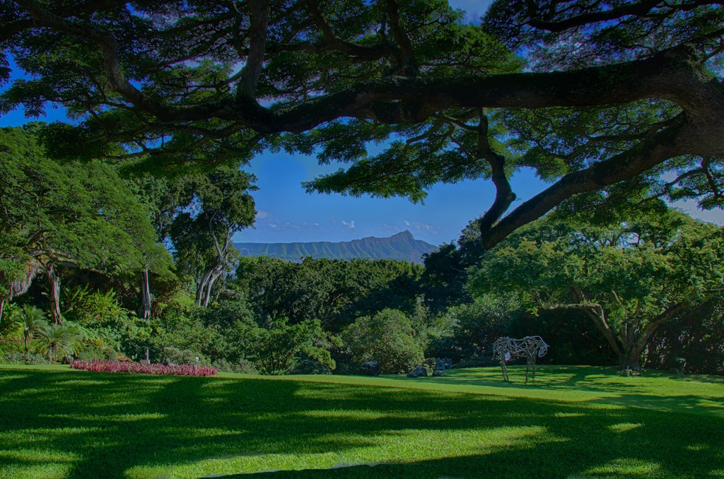 Spaulding House/Honolulu Museum of Art by taffy