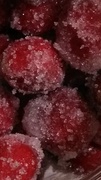 19th Dec 2013 - Sugared Berries   365-353
