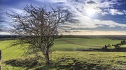 22nd Dec 2013 - Day 356 - Pewsey Vale