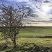 Day 356 - Pewsey Vale by snaggy