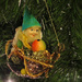 Santa's Elf by rosiekerr