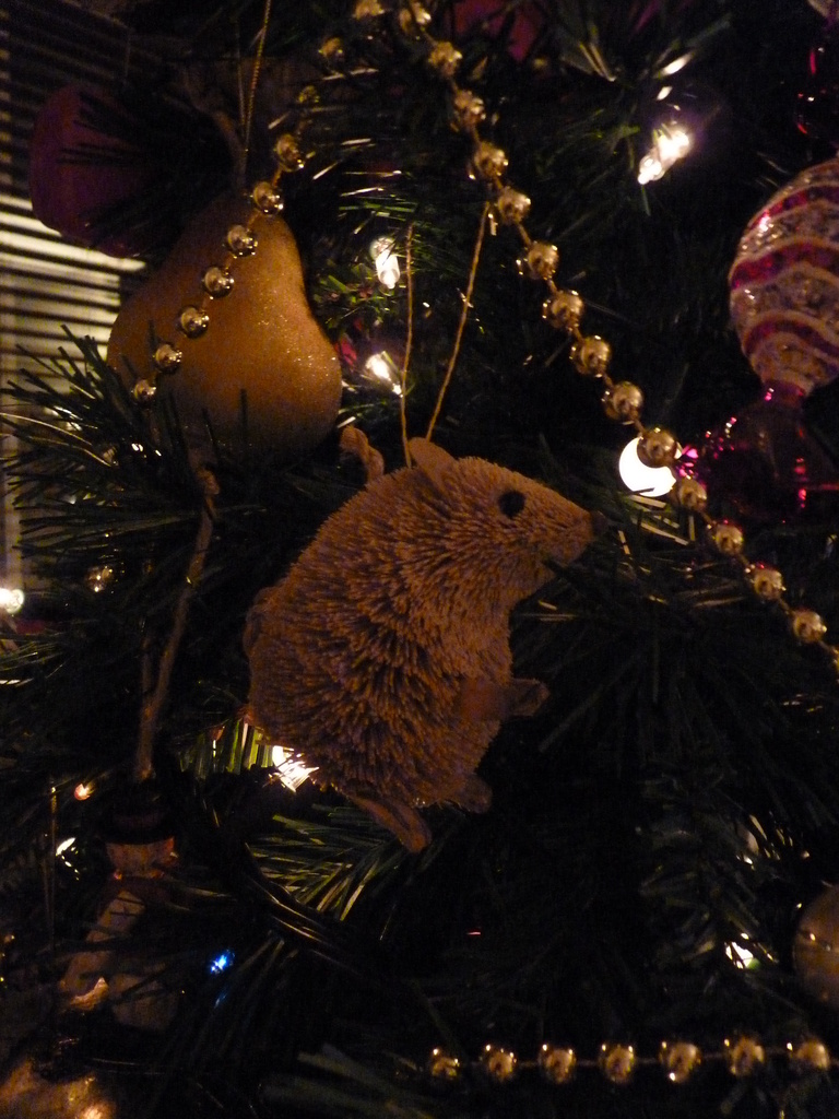 A mouse in the tree by lellie