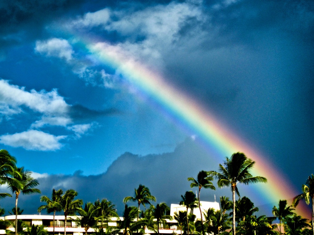 Rainbow Over Kaanapali'i Maui Resorts by taffy