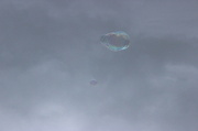 21st Nov 2013 - Bubbles in the sky