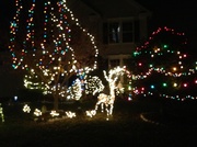 19th Dec 2013 - neighborhood lights