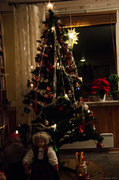23rd Dec 2013 - Christmas tree