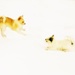 two puppies in the snow by edie