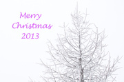 23rd Dec 2013 - Merry Christams