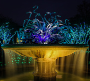 23rd Dec 2013 - Chihuly Fountain