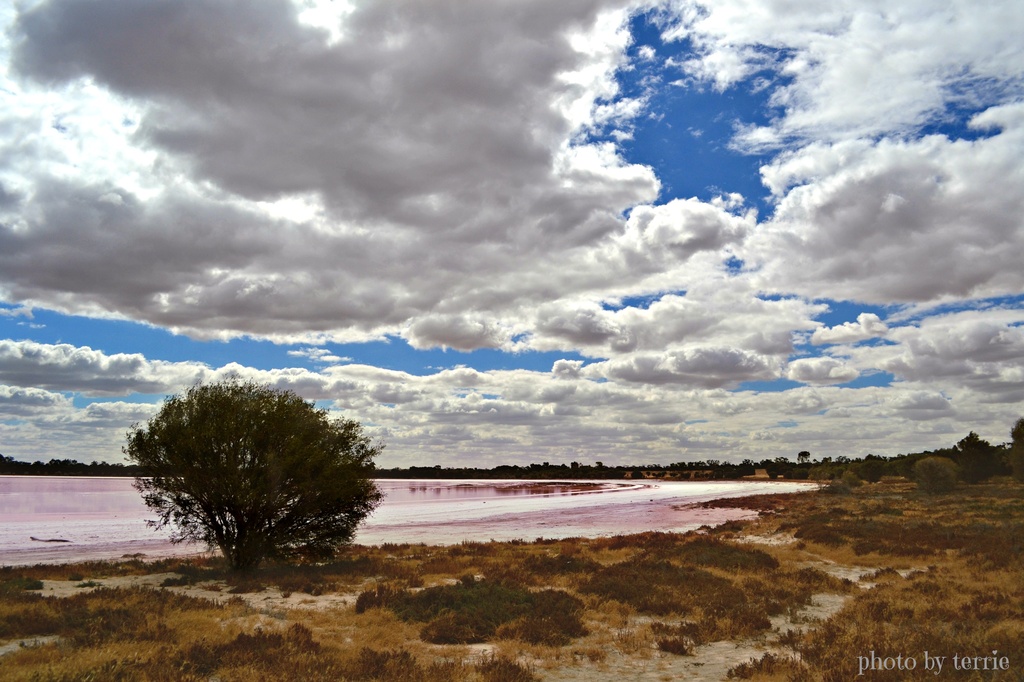 Pink Lake - Dimboola 2 by teodw