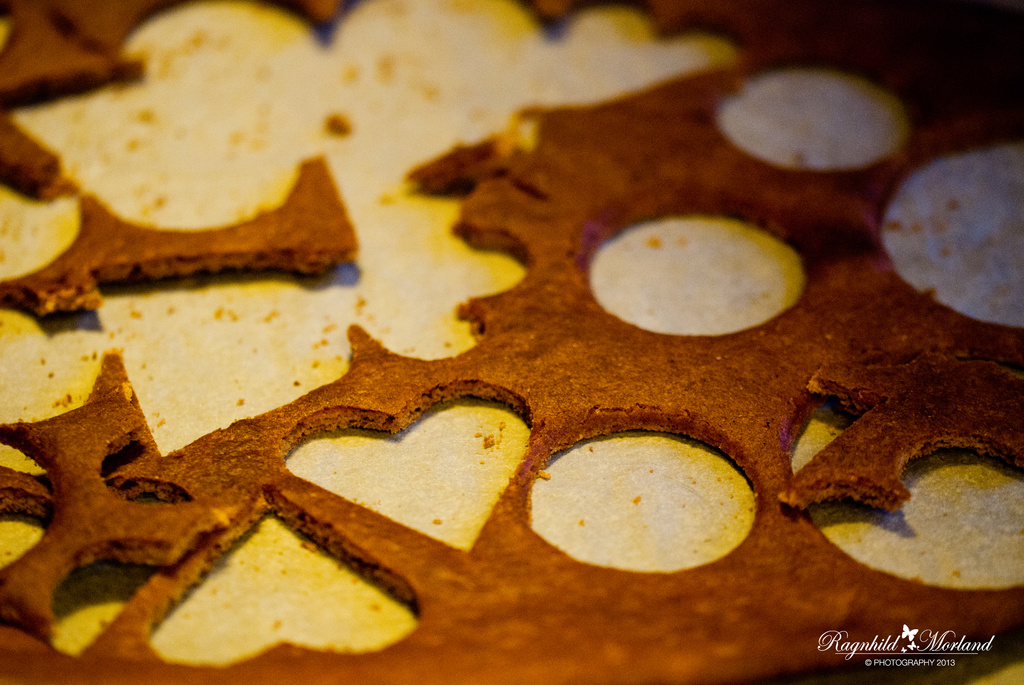 Gingerbread by ragnhildmorland