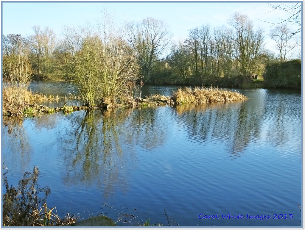 Fingers Lake,Priory Country Park,Bedford by carolmw