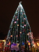23rd Dec 2013 - Community Giving Tree