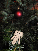 24th Dec 2013 - Lost in the Christmas Tree :-)