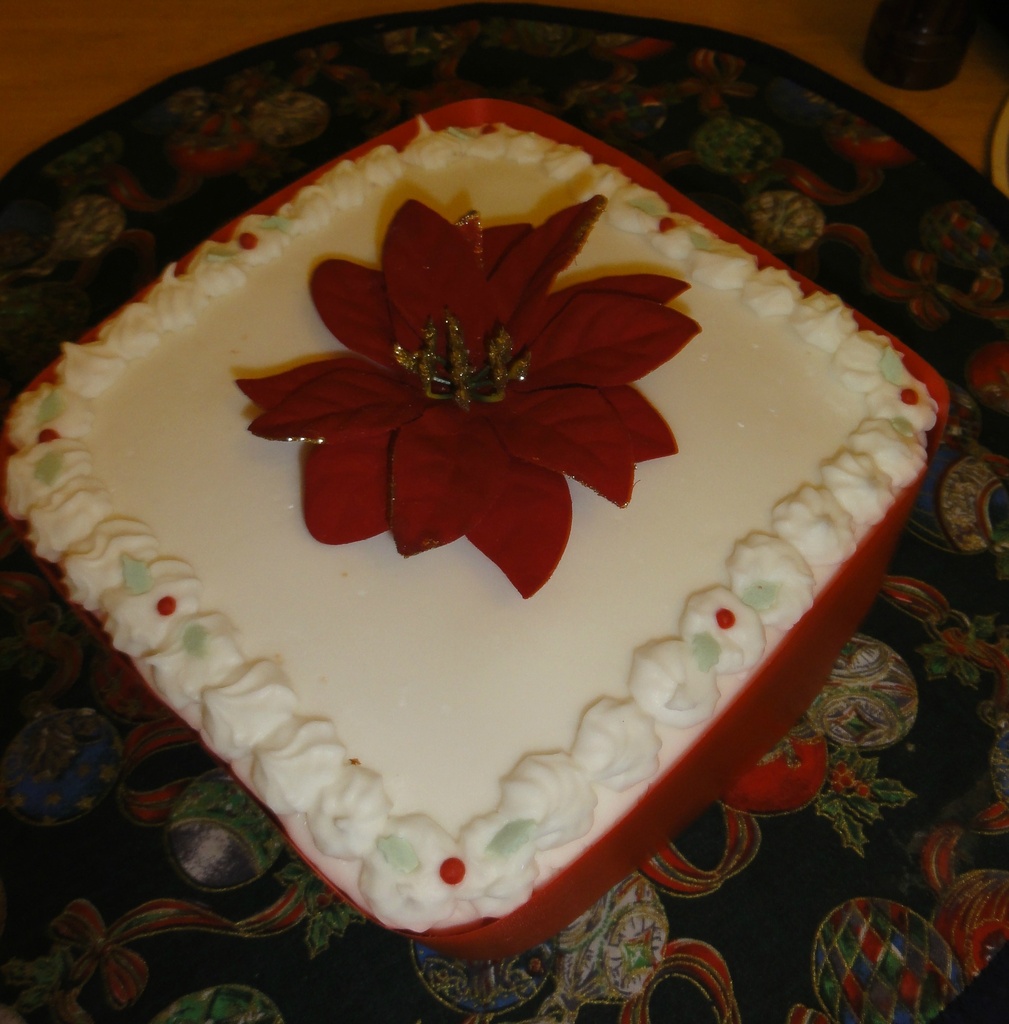 Christmas Cake by beryl