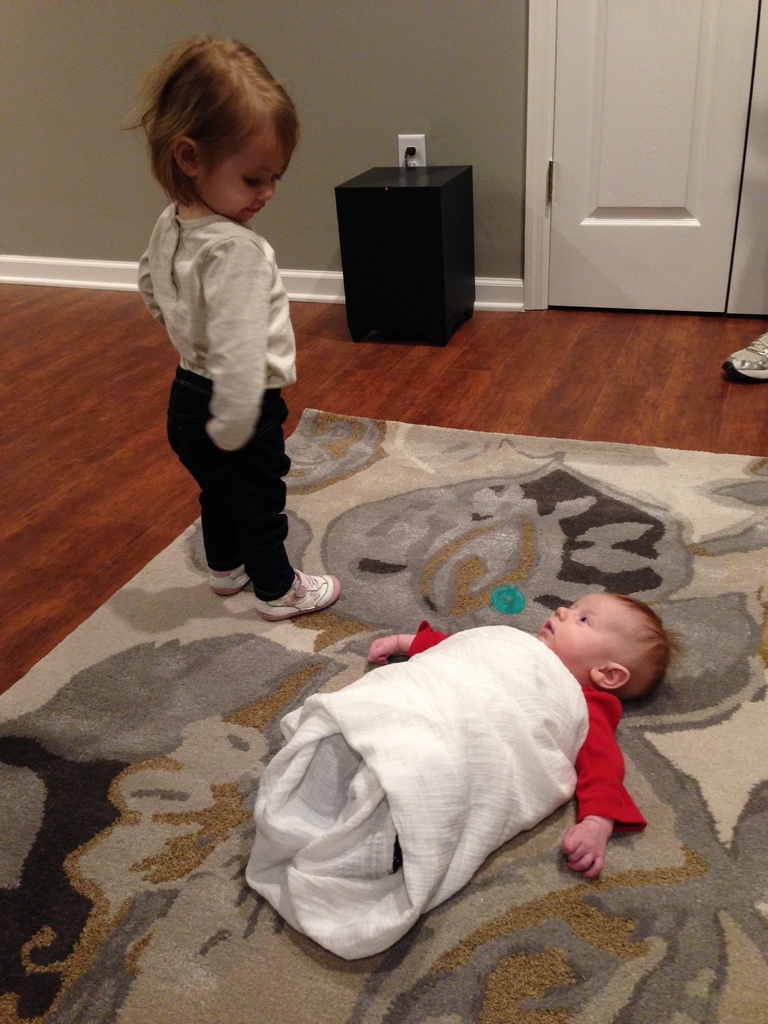 Meeting cousin Adalyn for the first time. Neither of them looks too sure about the other one! by doelgerl