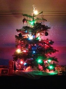 26th Dec 2013 - Christmas Tree