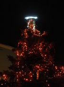 11th Dec 2013 - Christmas tree :)